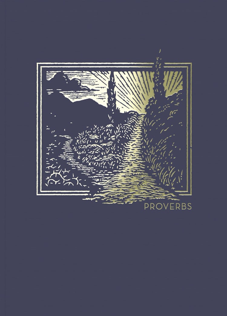 Cover image for NET Abide Bible Journal - Proverbs, Paperback, Comfort Print: Holy Bible, isbn: 9780785237082