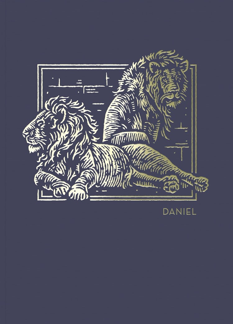 Cover image for NET Abide Bible Journal - Daniel, Paperback, Comfort Print: Holy Bible, isbn: 9780785237228