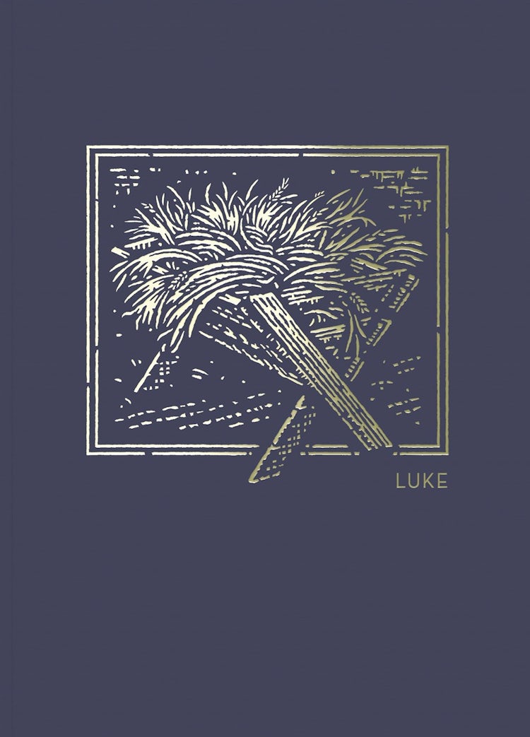 Cover image for NET Abide Bible Journal - Luke, Paperback, Comfort Print: Holy Bible, isbn: 9780785237310