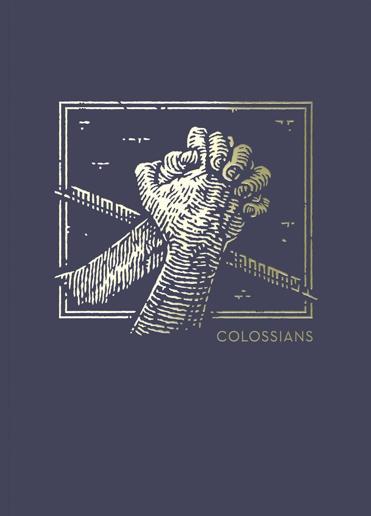 Cover image for NET Abide Bible Journal - Colossians, Paperback, Comfort Print: Holy Bible, isbn: 9780785237488