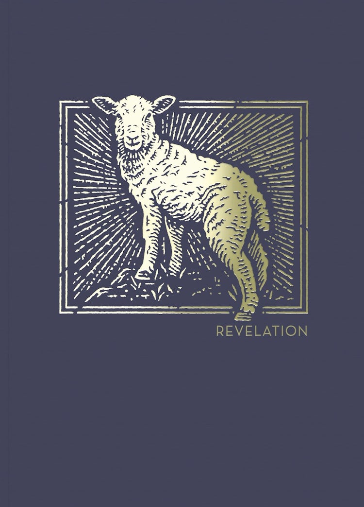 Cover image for NET Abide Bible Journal - Revelation, Paperback, Comfort Print: Holy Bible, isbn: 9780785237631