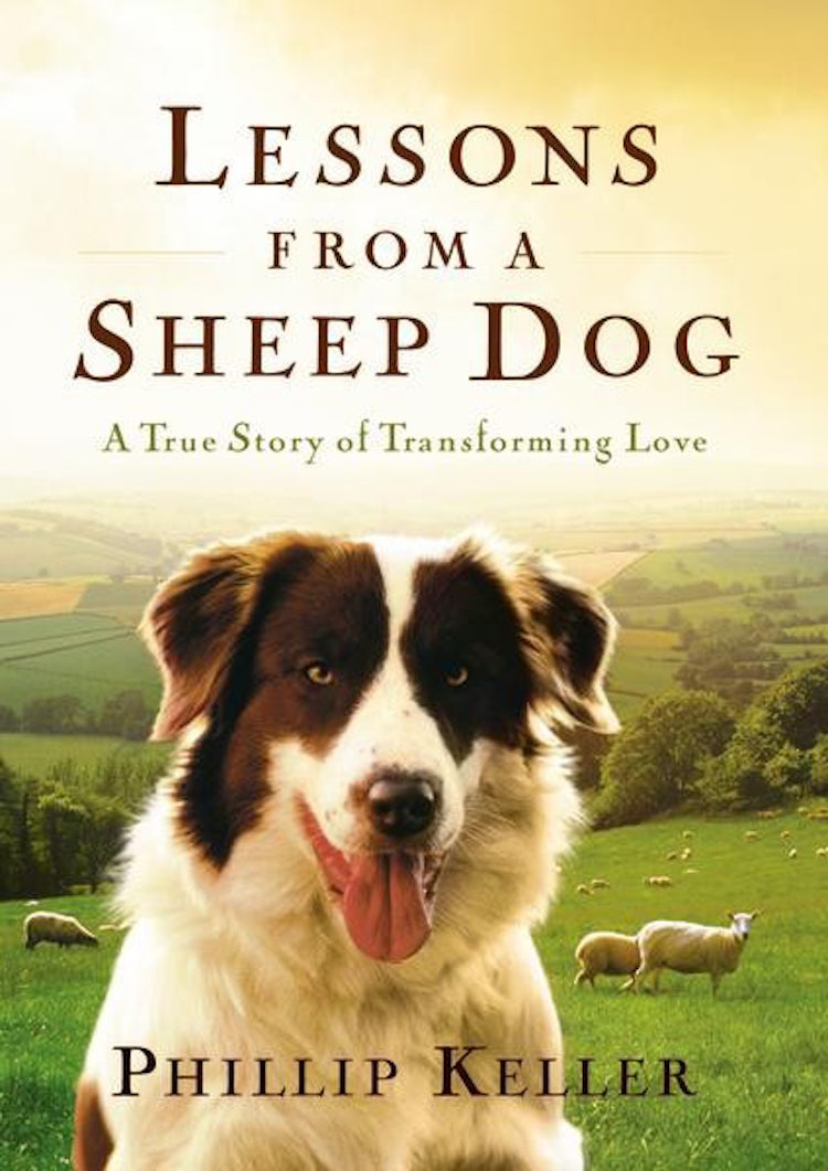 Cover image for Lessons From A Sheep Dog: A True Story Of Transforming Love, isbn: 9780849917653