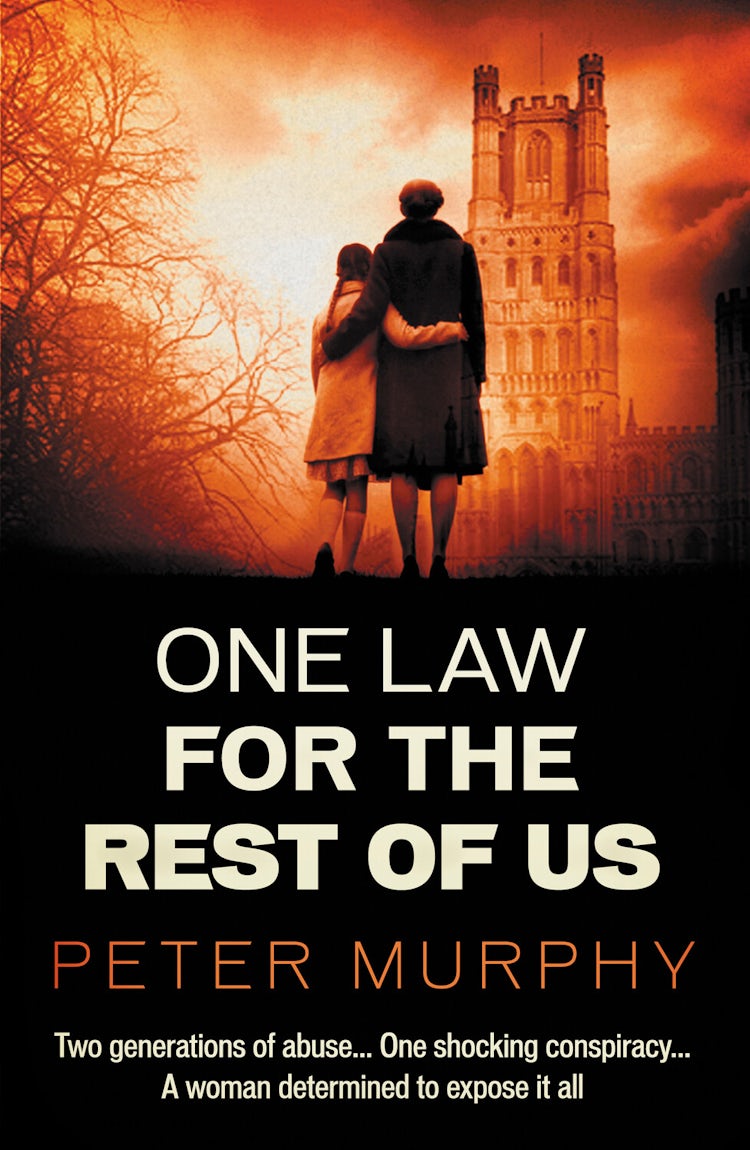 Cover image for One Law For the Rest of Us, isbn: 9780857301406