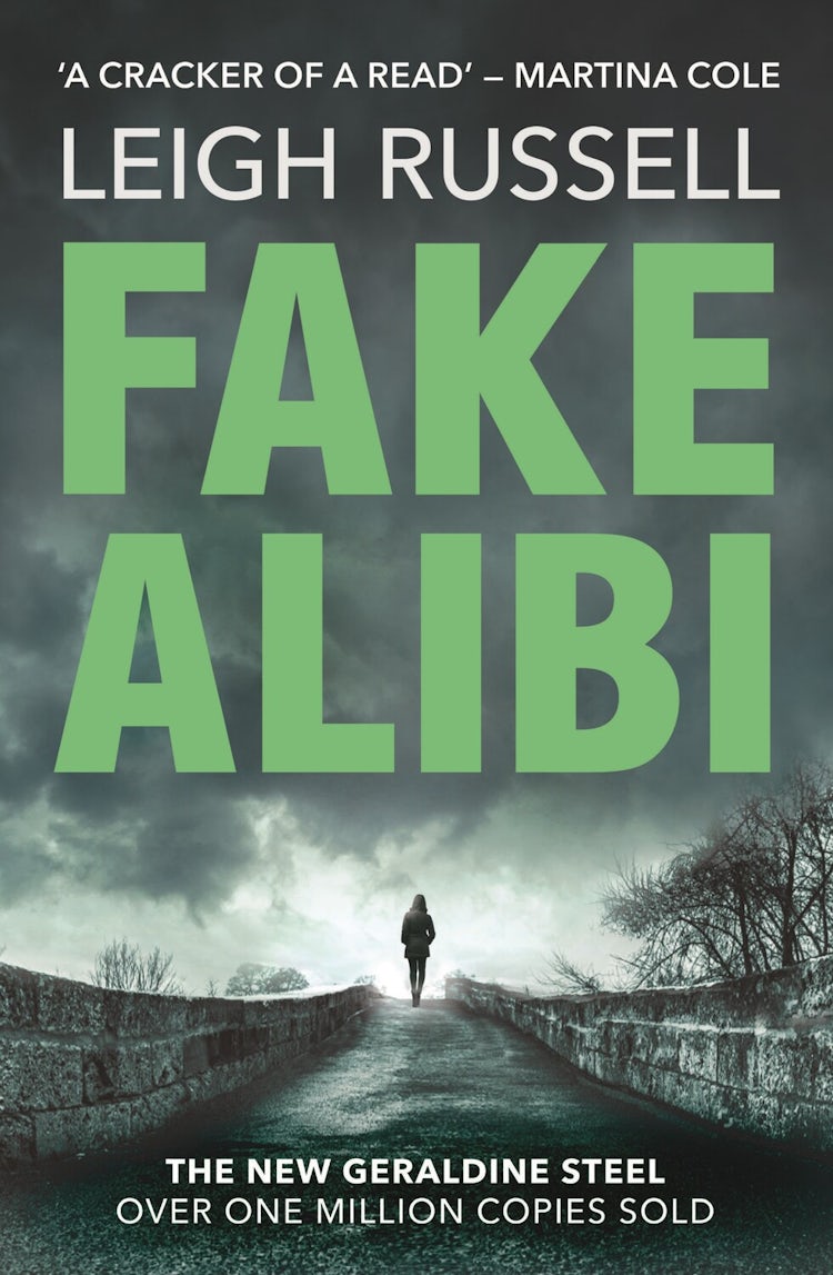 Cover image for Fake Alibi, isbn: 9780857303462