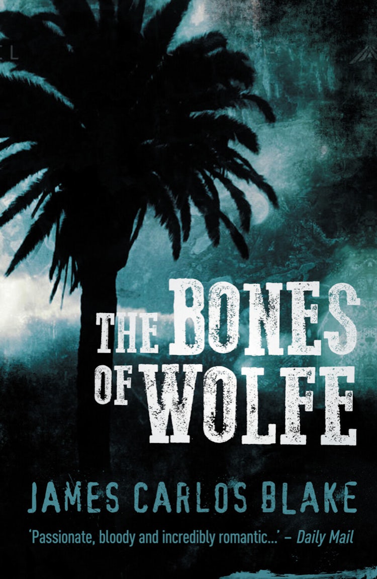 Cover image for Bones of Wolfe, isbn: 9780857304513