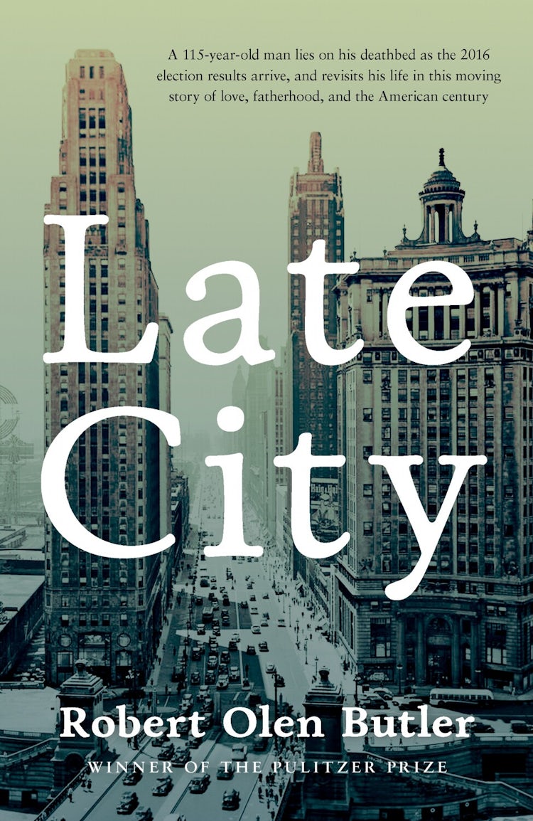 Cover image for Late City, isbn: 9780857304896