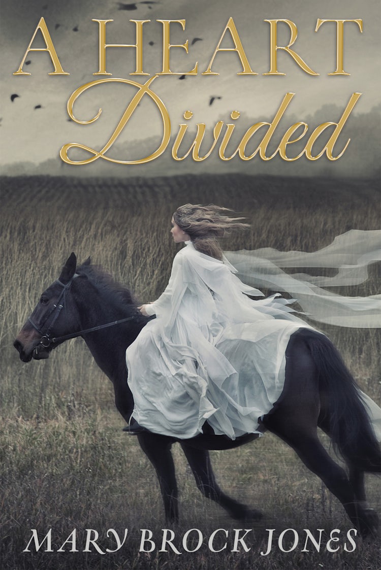 Cover image for A Heart Divided, isbn: 9780857990389