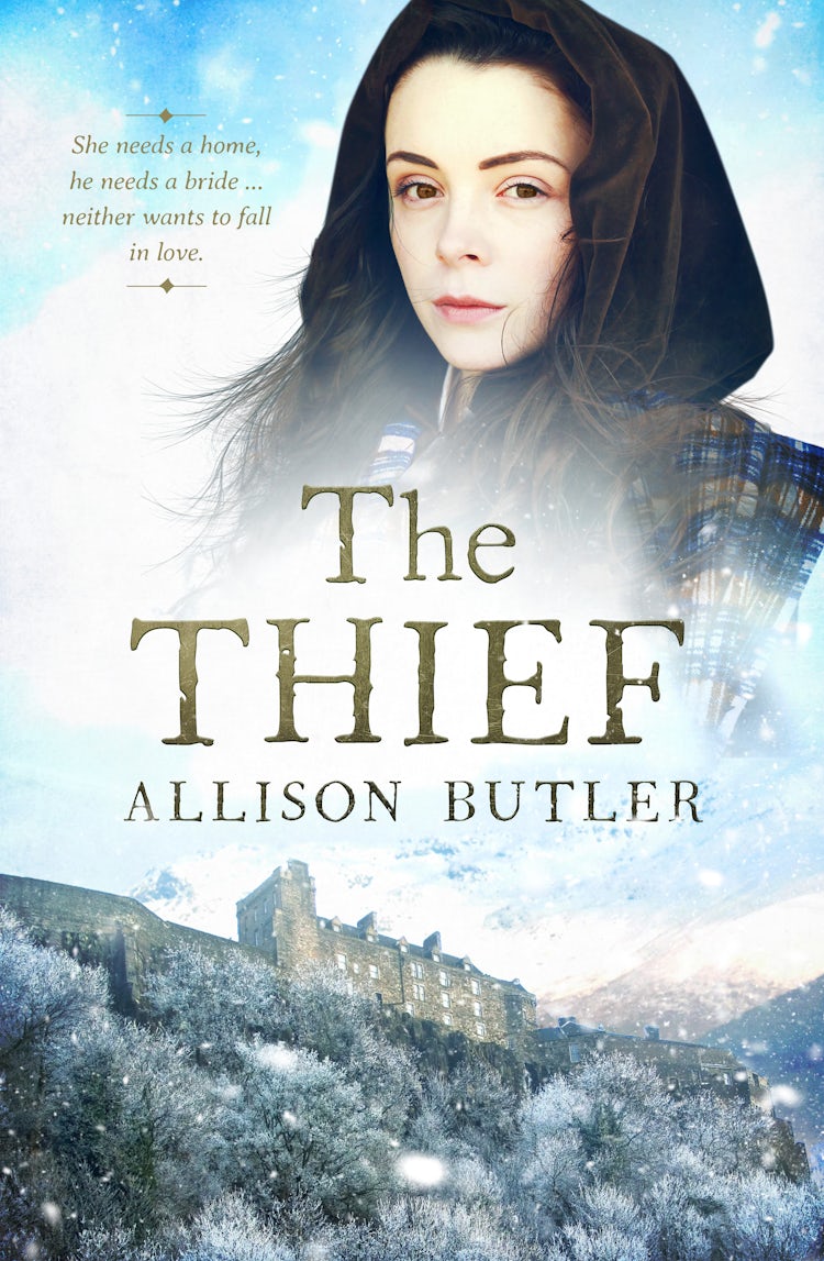 Cover image for The Thief, isbn: 9780857992567