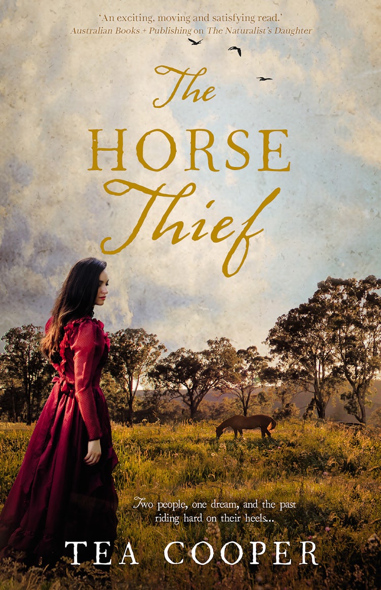 Cover image for The Horse Thief, isbn: 9780857992826