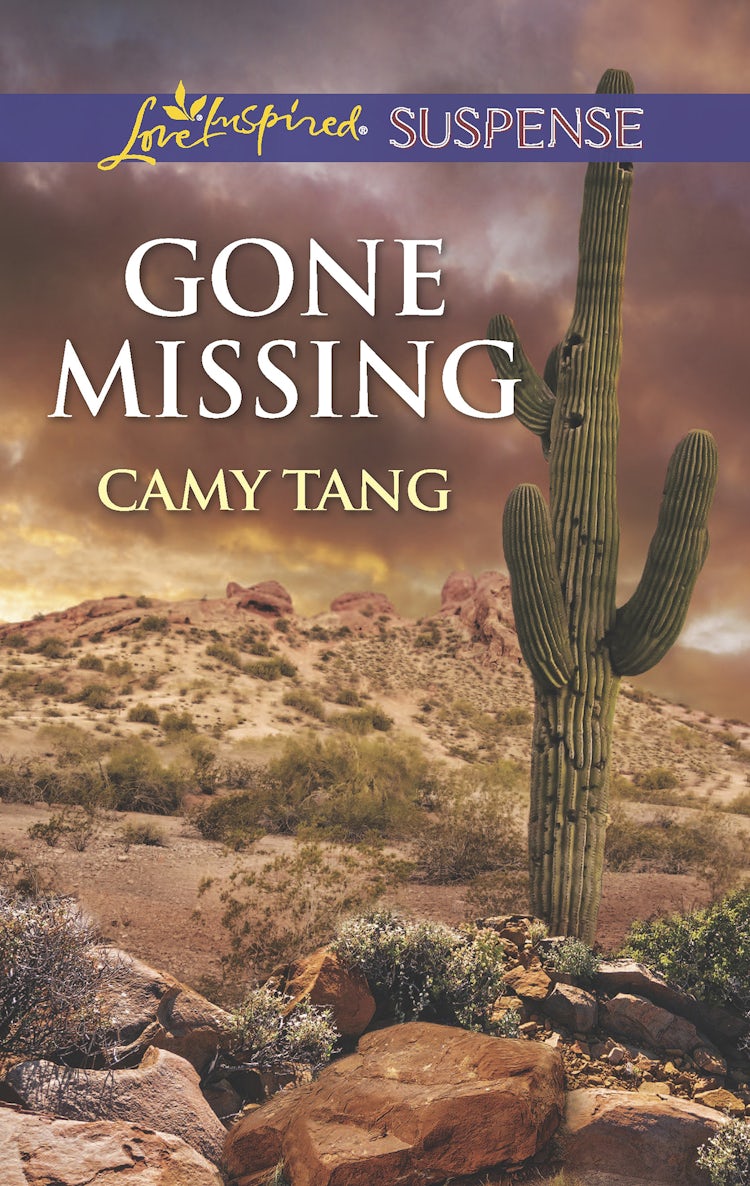 Cover image for Gone Missing, isbn: 9780857993199