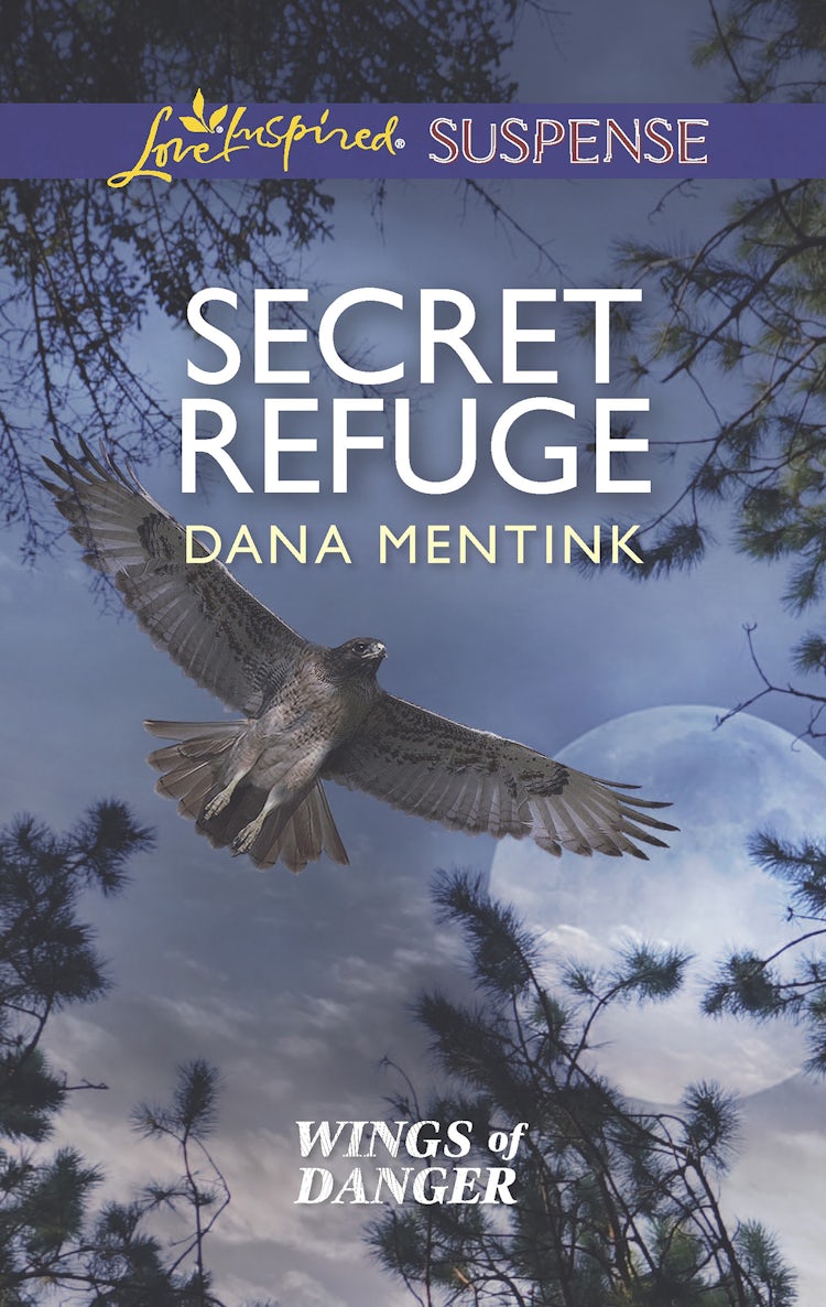 Cover image for Secret Refuge, isbn: 9780857994172
