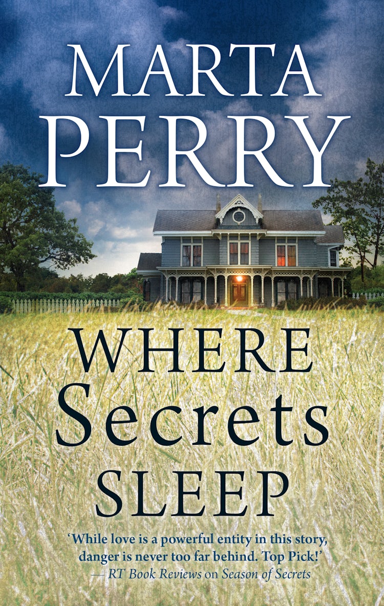 Cover image for Where Secrets Sleep, isbn: 9780857994578