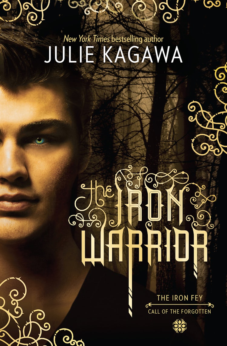 Cover image for The Iron Warrior, isbn: 9780857994622