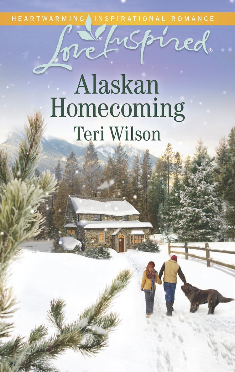 Cover image for Alaskan Homecoming, isbn: 9780857995216