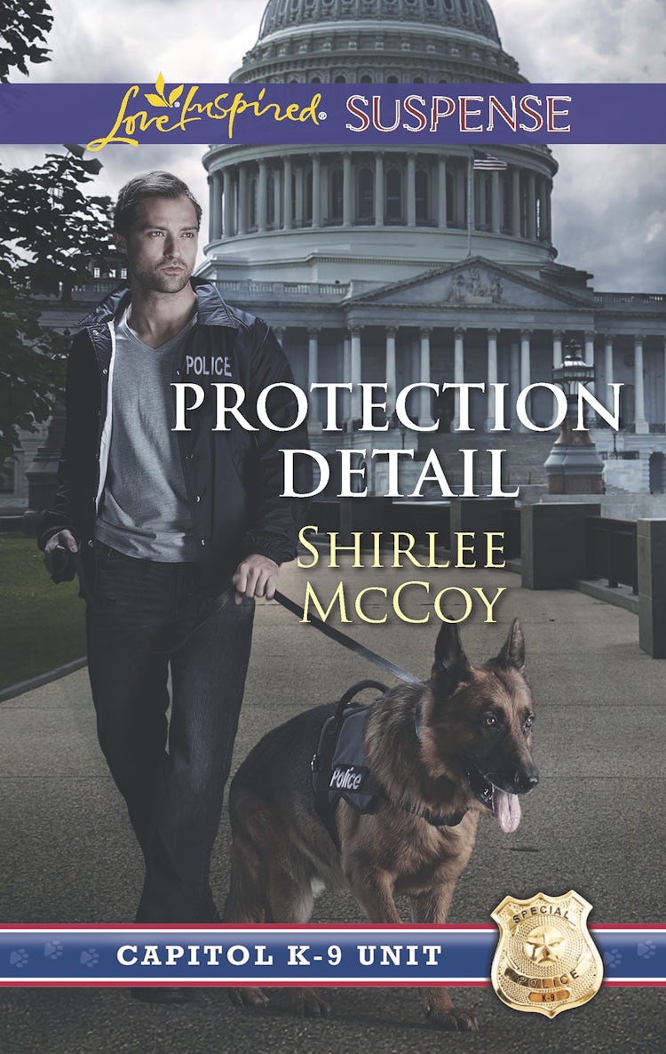 Cover image for Protection Detail, isbn: 9780857995315