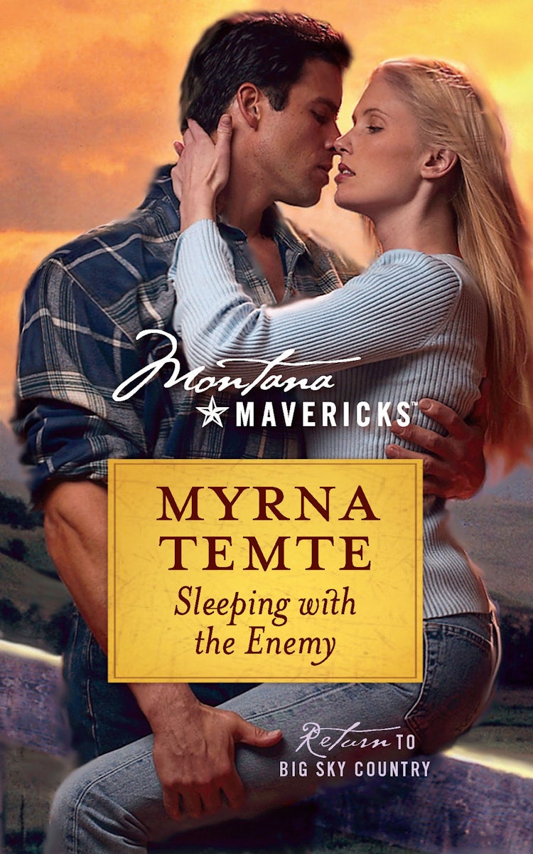 Cover image for Sleeping With The Enemy, isbn: 9780857995445