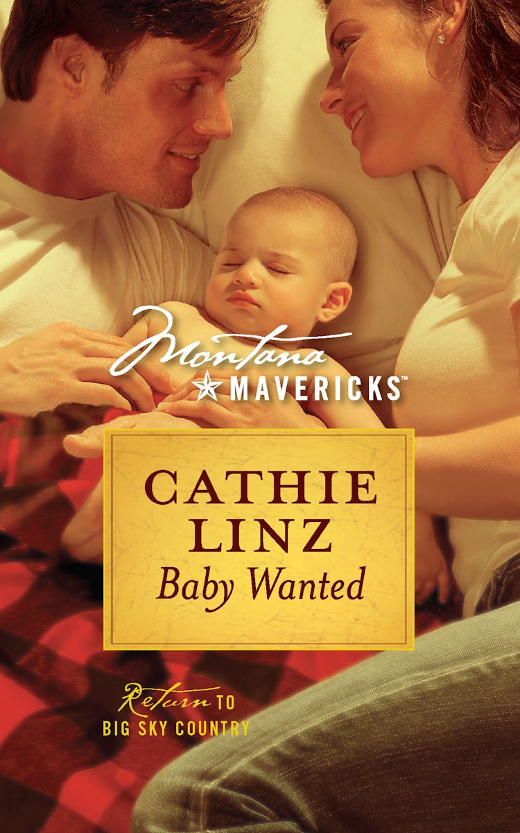 Cover image for Baby Wanted, isbn: 9780857995513
