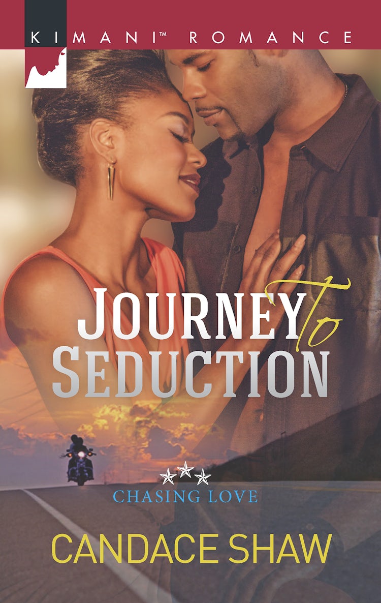 Cover image for Journey To Seduction, isbn: 9780857996480