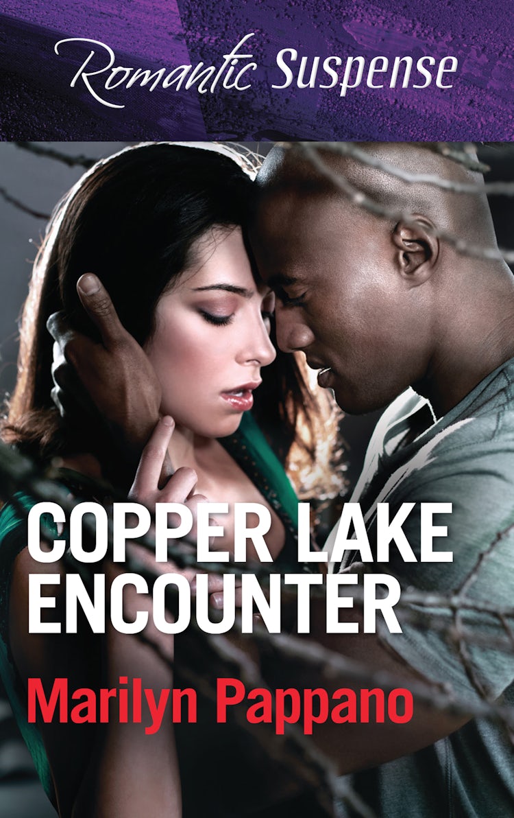 Cover image for Copper Lake Encounter, isbn: 9780857998934