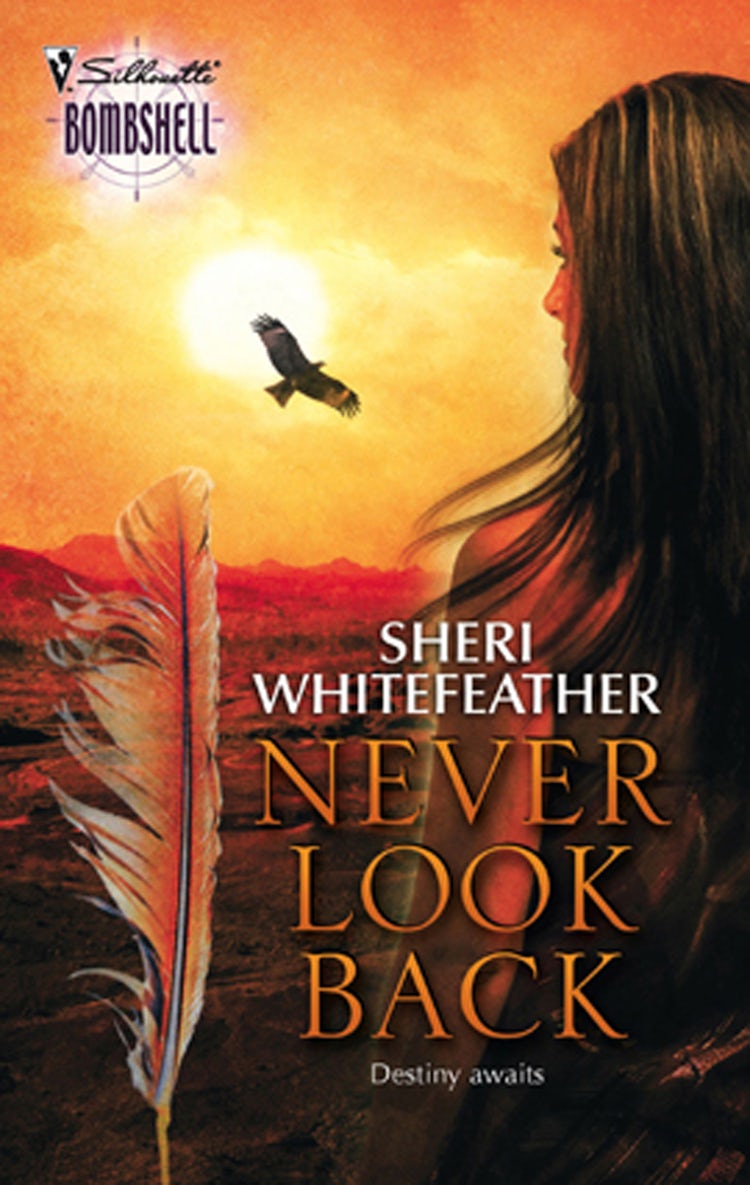 Cover image for Never Look Back, isbn: 9780857999009