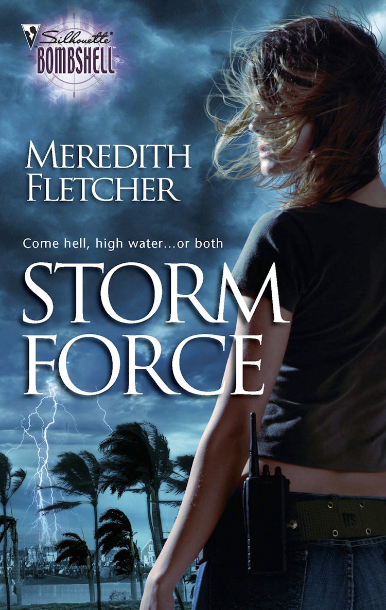 Cover image for Storm Force, isbn: 9780857999467