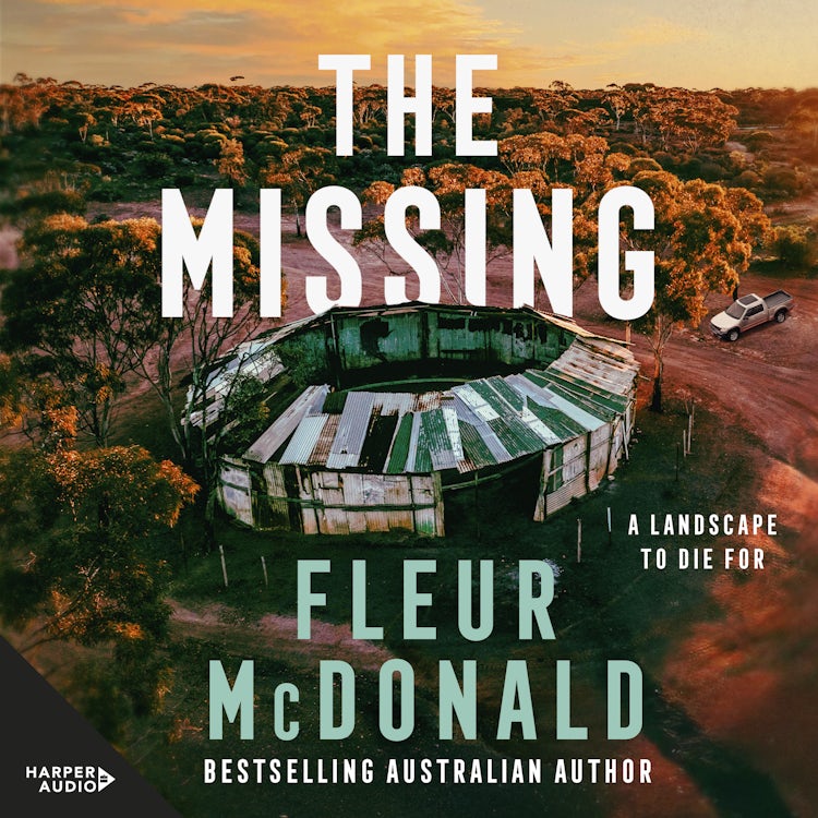 Cover image for The Missing, isbn: 9781038101709