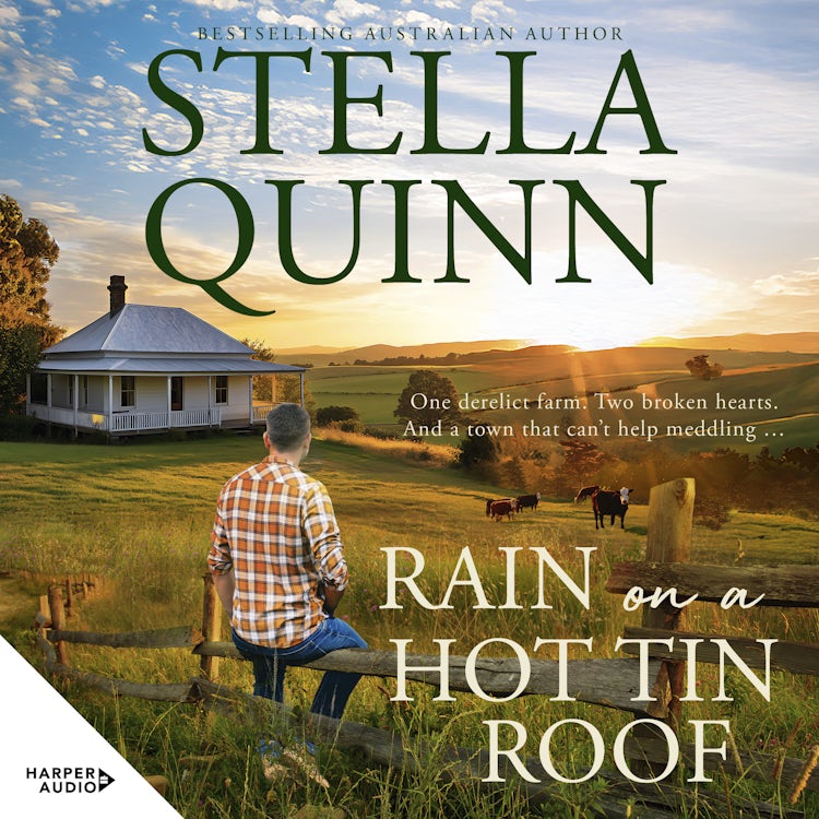 Cover image for Rain on a Hot Tin Roof, isbn: 9781038102751