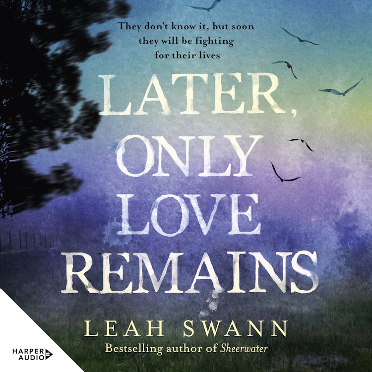 Cover image for Later, Only Love Remains, isbn: 9781038104731