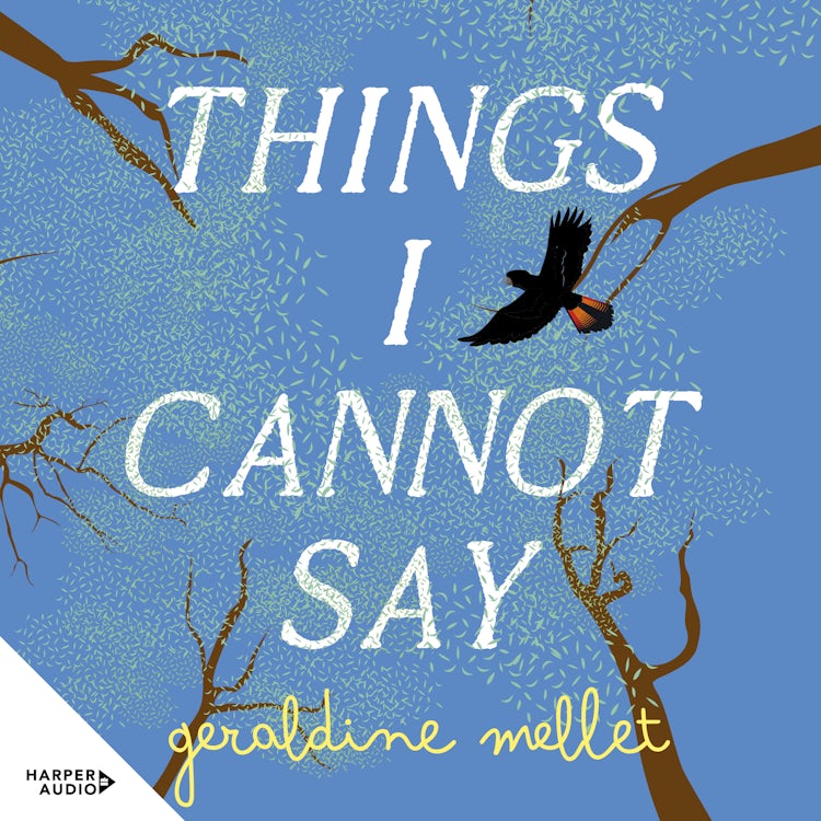 Cover image for Things I Cannot Say, isbn: 9781038105011