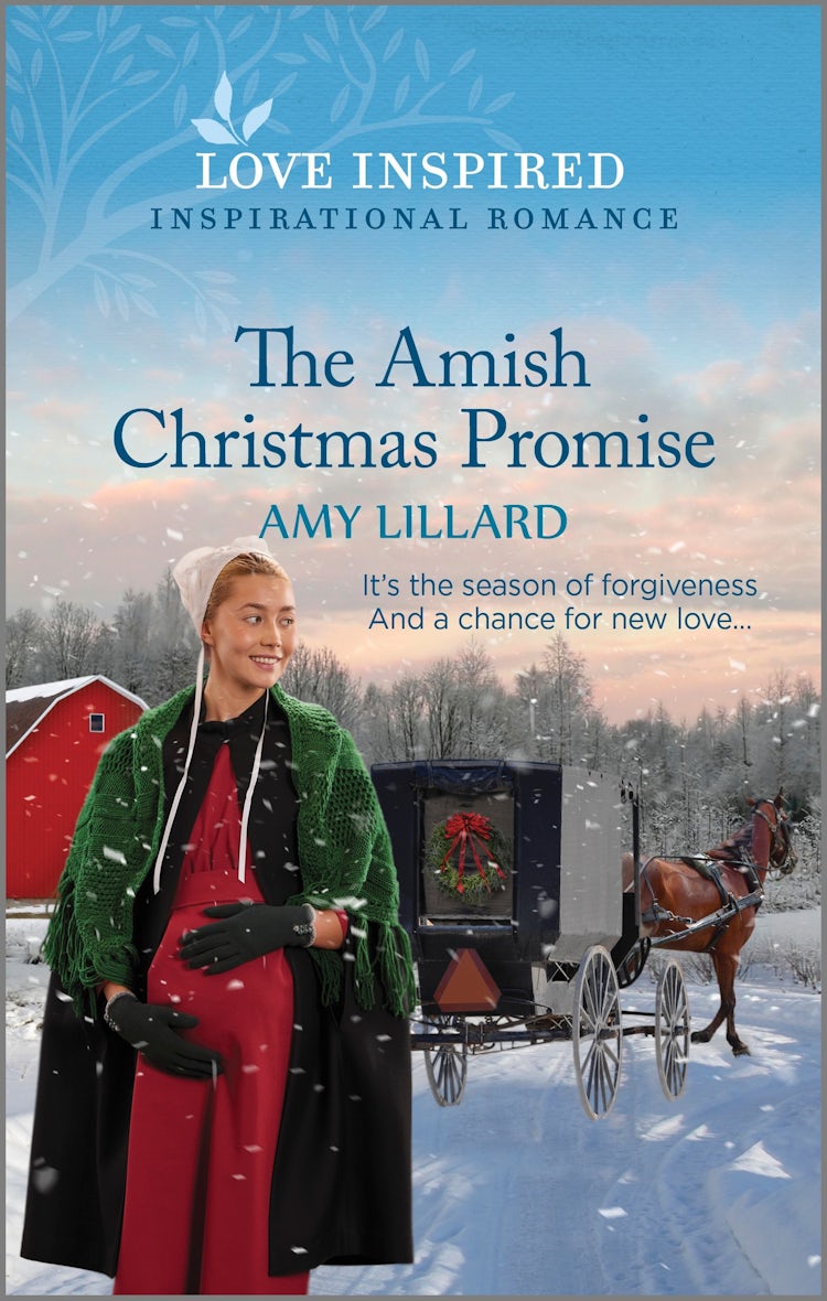 Cover image for The Amish Christmas Promise, isbn: 9781038900142