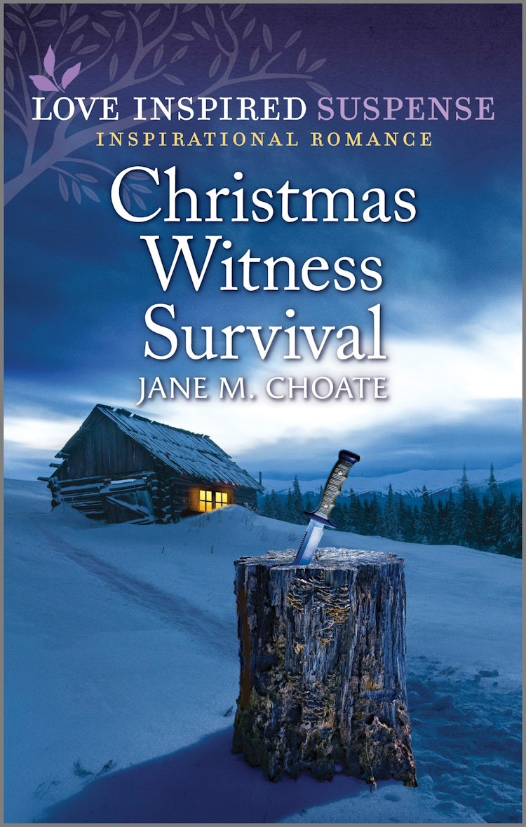 Cover image for Christmas Witness Survival, isbn: 9781038900258