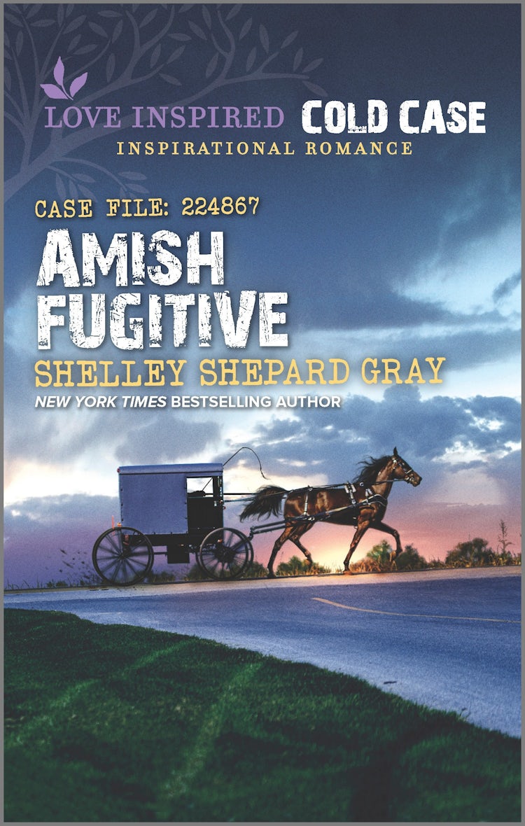 Cover image for Amish Fugitive, isbn: 9781038900524