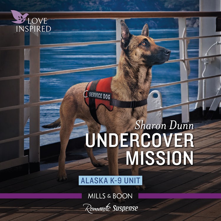 Cover image for Undercover Mission, isbn: 9781038901422