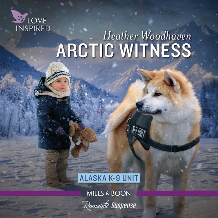 Cover image for Arctic Witness, isbn: 9781038901439