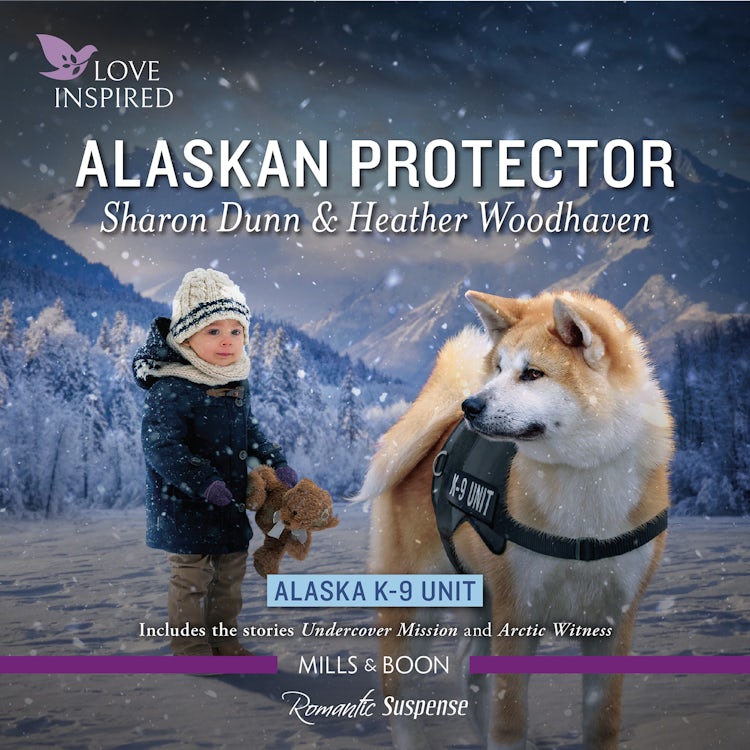 Cover image for Alaskan Protector, isbn: 9781038901446