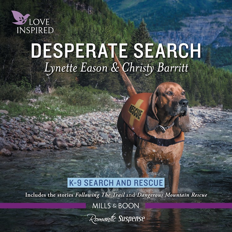 Cover image for Desperate Search, isbn: 9781038901453