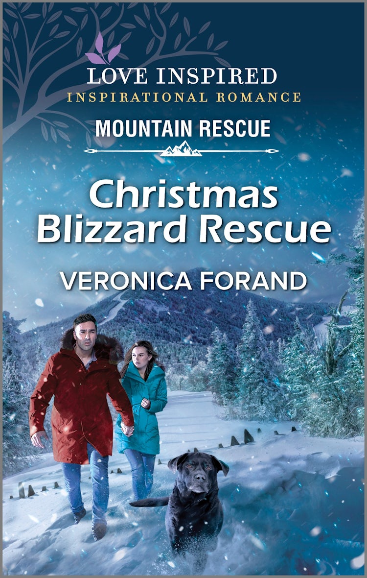 Cover image for Christmas Blizzard Rescue, isbn: 9781038901590