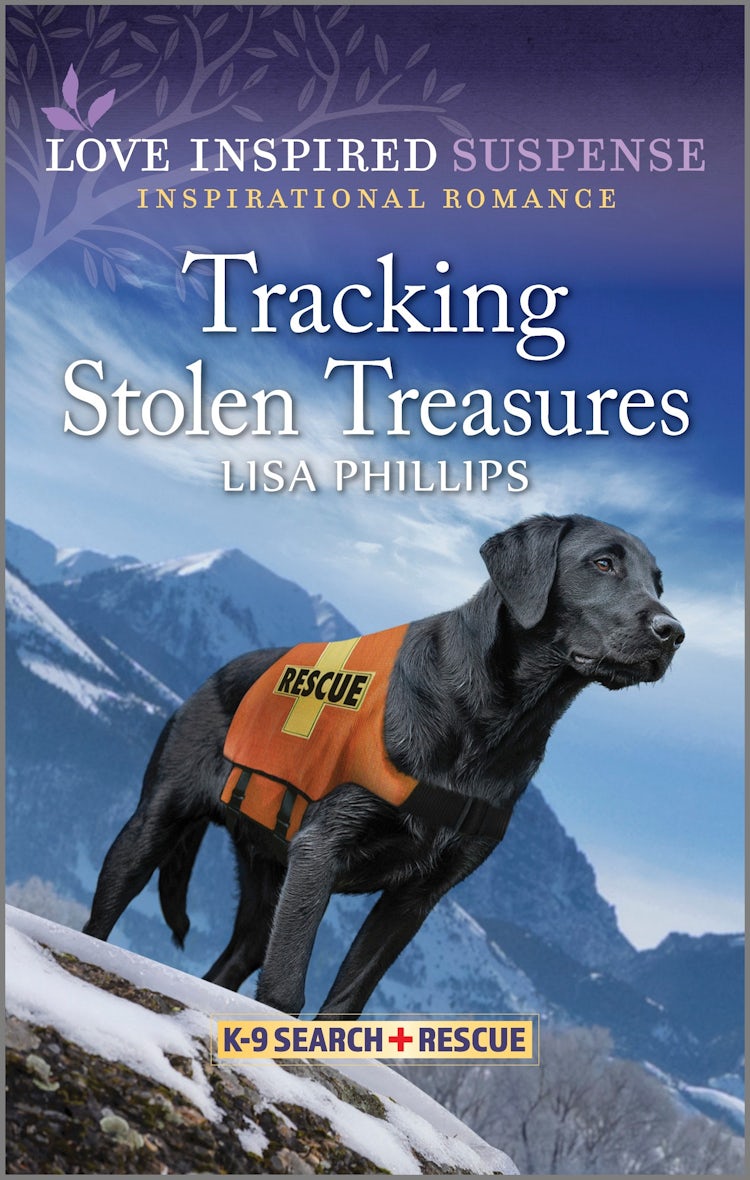 Cover image for Tracking Stolen Treasures, isbn: 9781038903266