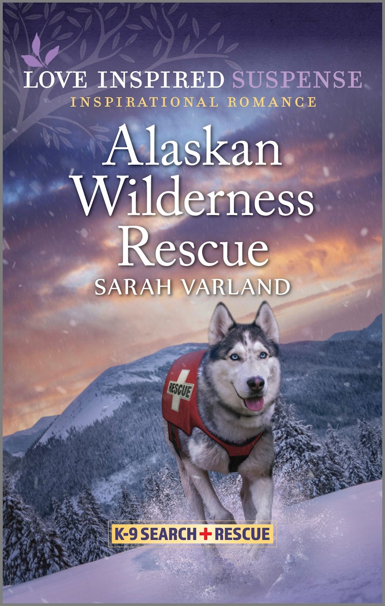 Cover image for Alaskan Wilderness Rescue, isbn: 9781038903341