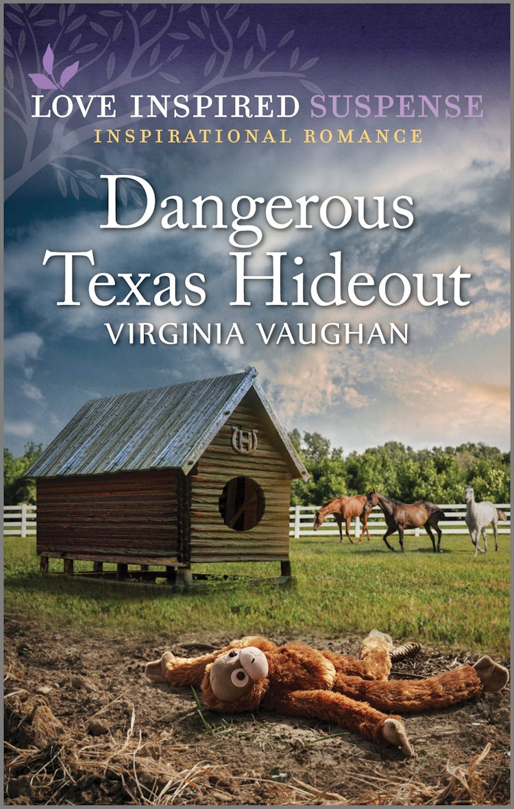 Cover image for Dangerous Texas Hideout, isbn: 9781038903358