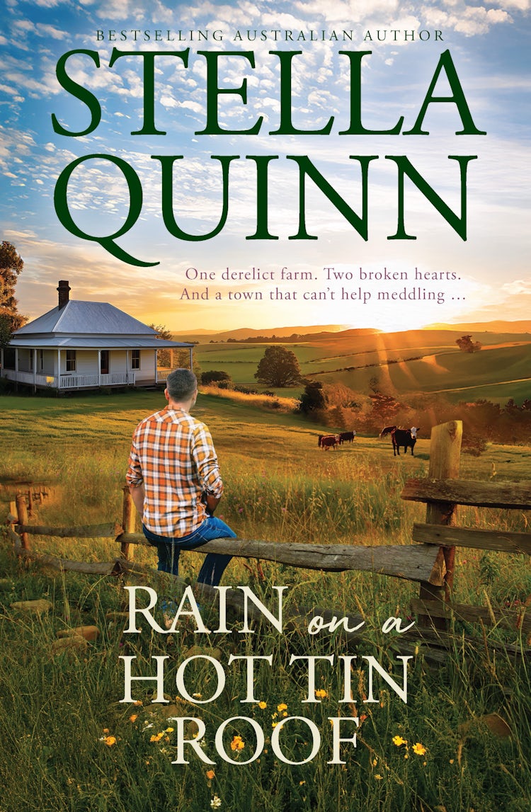 Cover image for Rain on a Hot Tin Roof: A single dad and a town of matchmakers, 2026's funny new romance, perfect for readers of Karly Lane, from an award-winning and bestseller author, isbn: 9781038903969