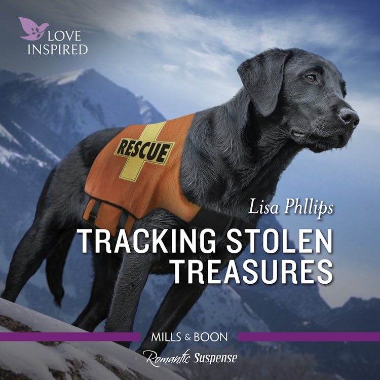Cover image for Tracking Stolen Treasures, isbn: 9781038903990
