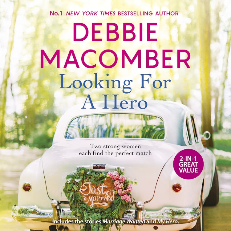 Cover image for Looking For A Hero, isbn: 9781038904096