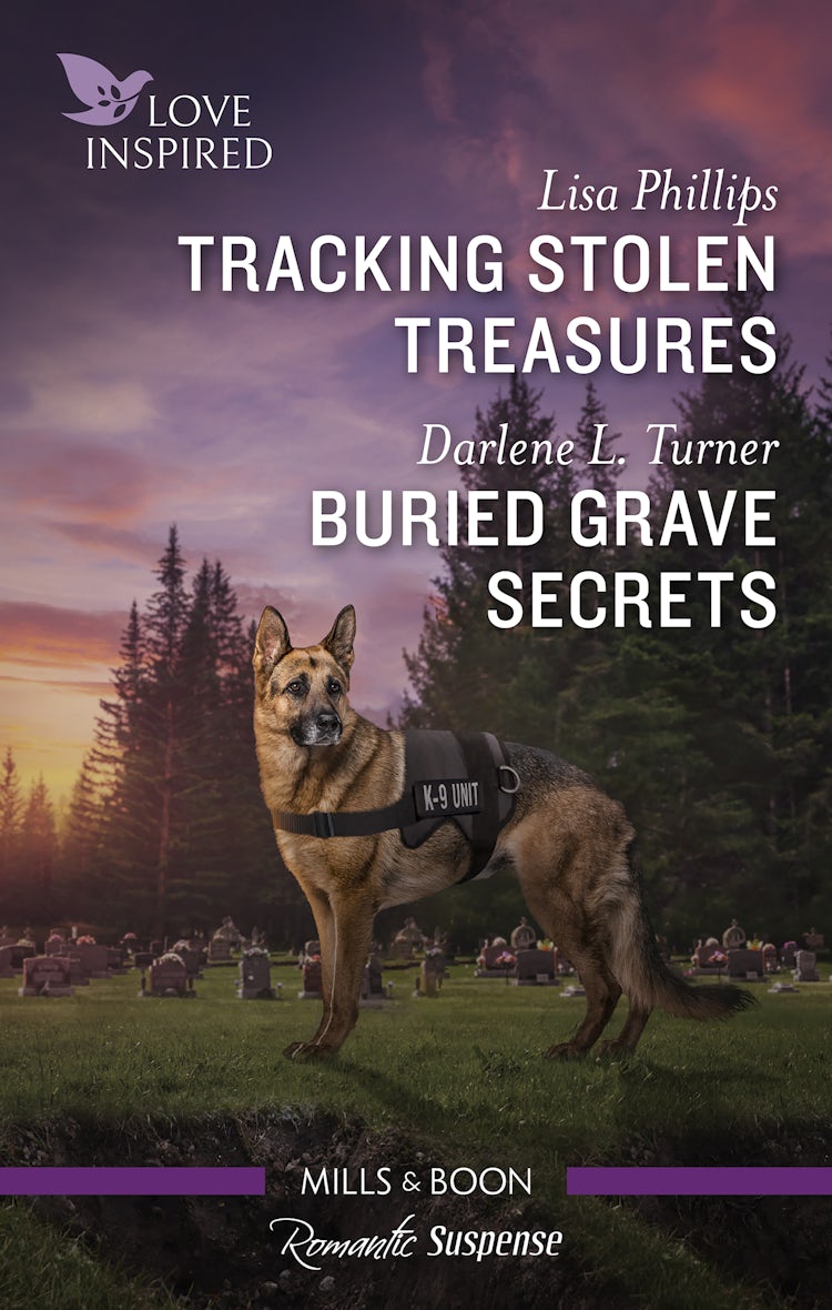 Cover image for Tracking Stolen Treasures/Buried Grave Secrets, isbn: 9781038904768