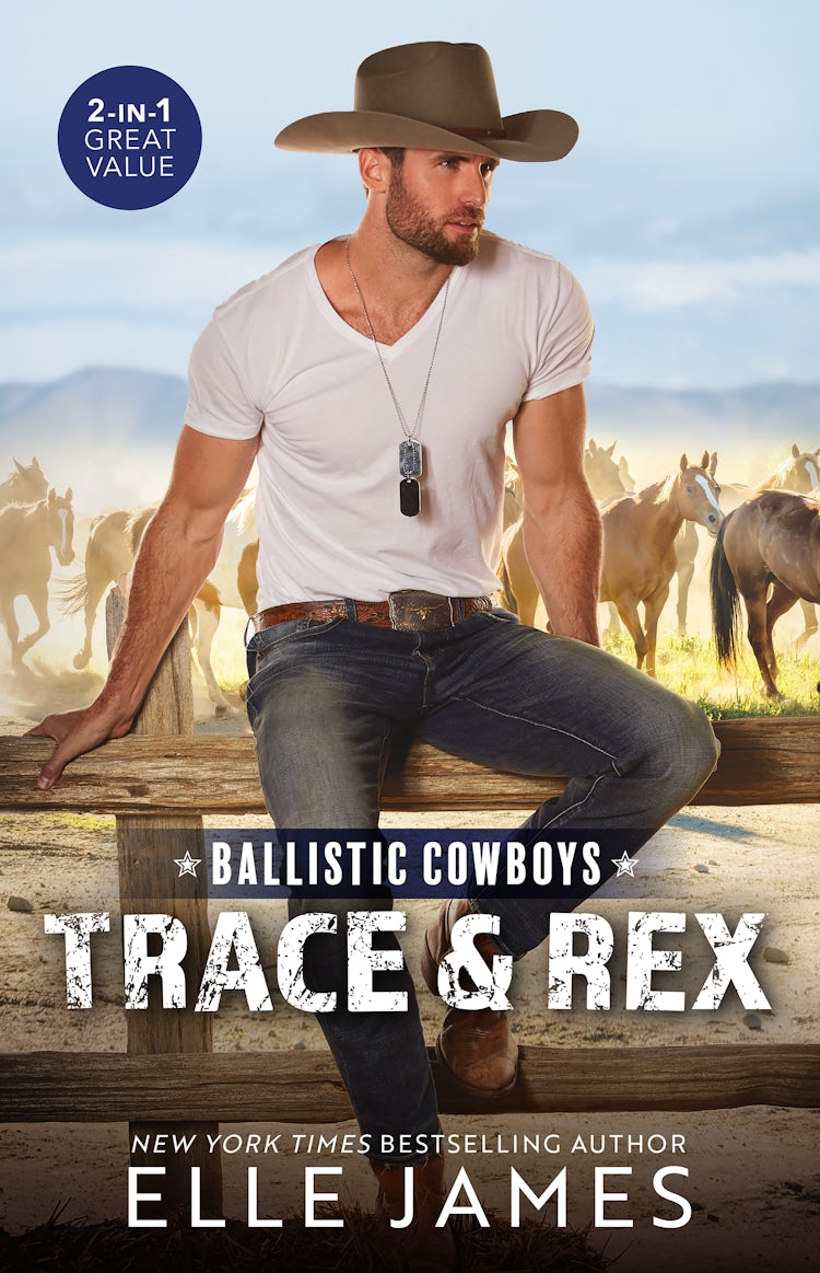 Cover image for Ballistic Cowboys: Trace & Rex/Hot Zone/Hot Velocity, isbn: 9781038906762