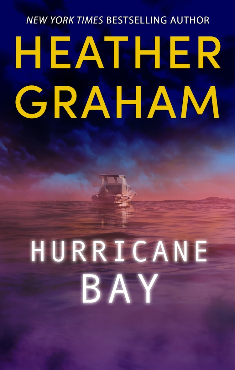 Cover image for Hurricane Bay, isbn: 9781038907004