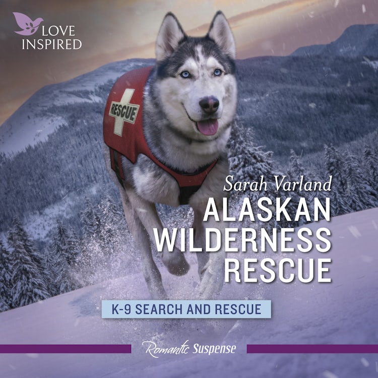 Cover image for Alaskan Wilderness Rescue, isbn: 9781038907264