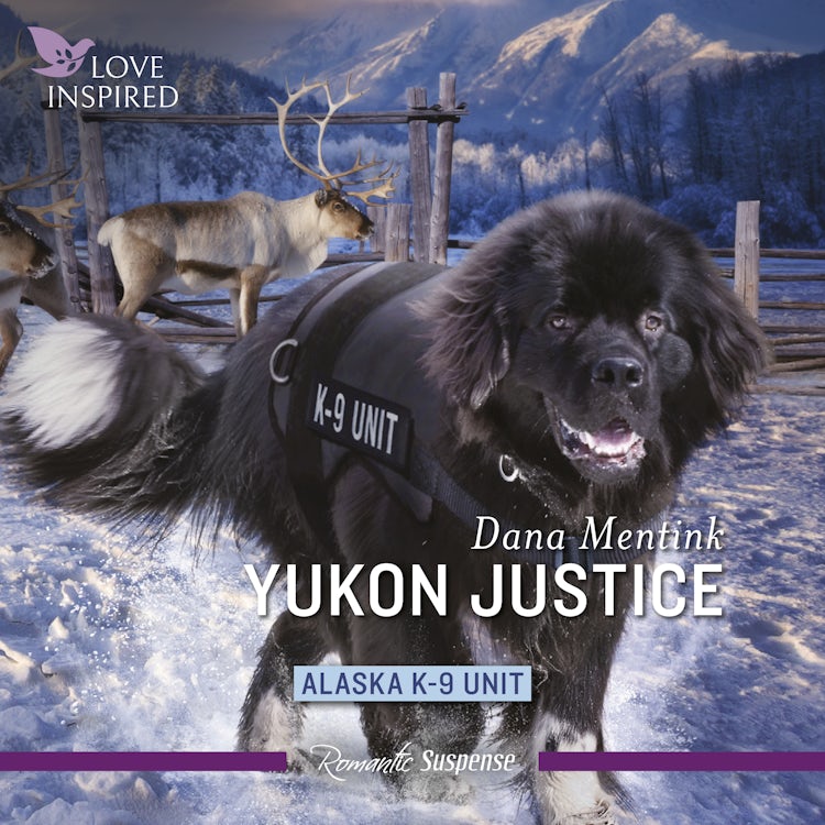 Cover image for Yukon Justice, isbn: 9781038907271