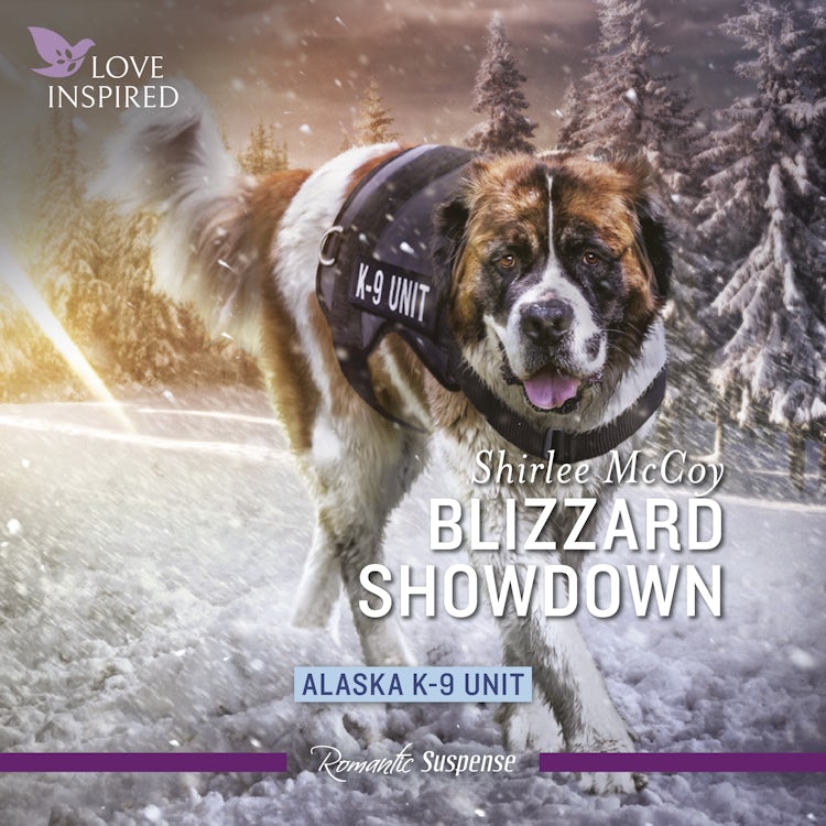 Cover image for Blizzard Showdown, isbn: 9781038907288