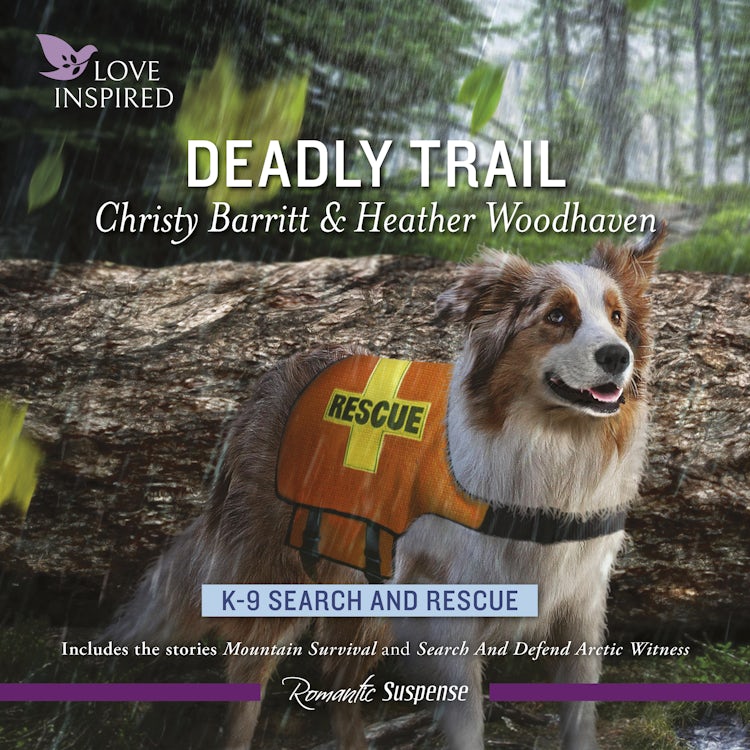 Cover image for Deadly Trail, isbn: 9781038907295